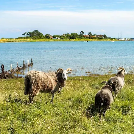 20509-samso-egevej-13 Hébergement de vacances Onsbjerg